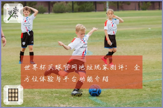 世界杯买球官网地址玩家测评：全方位体验与平台功能介绍