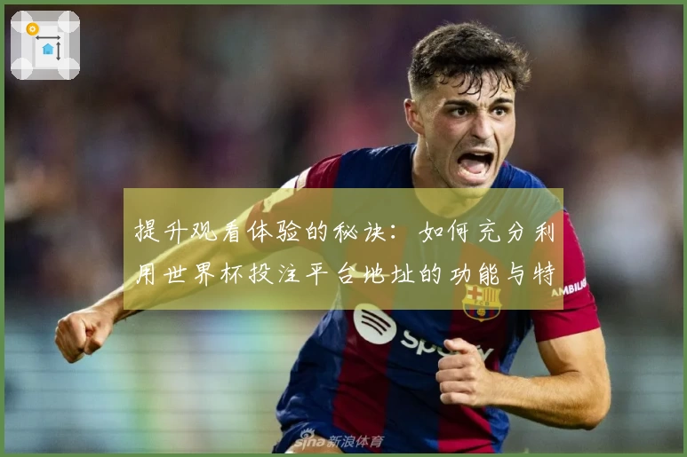 提升观看体验的秘诀：如何充分利用世界杯投注平台地址的功能与特性
