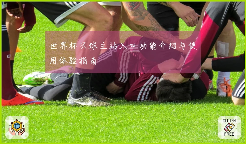 世界杯买球主站入口功能介绍与使用体验指南