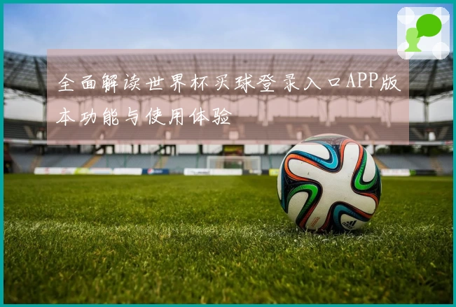 全面解读世界杯买球登录入口APP版本功能与使用体验