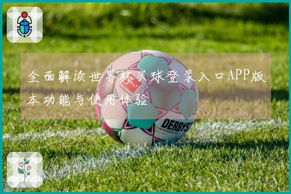 全面解读世界杯买球登录入口APP版本功能与使用体验